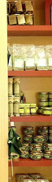 Linhas de orienta&ccedil;&atilde;o